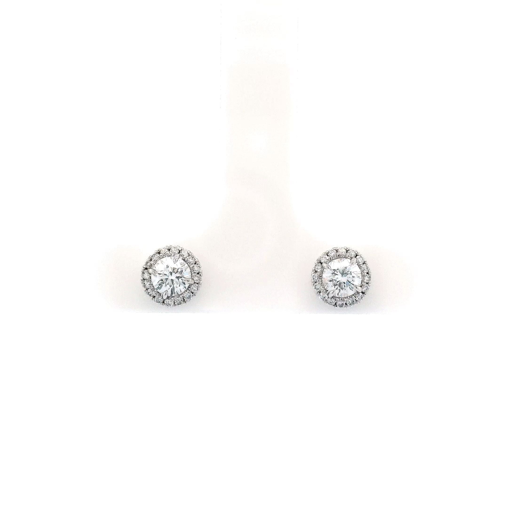 .6Xcttw Halo Stud Round Earrings 18KW - Jackson Hole Jewelry Company
