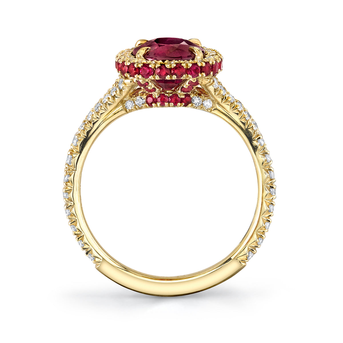 Omi Privé - Ruby & Diamond Ring in 18K Yellow Gold - Jackson Hole Jewelry Company
