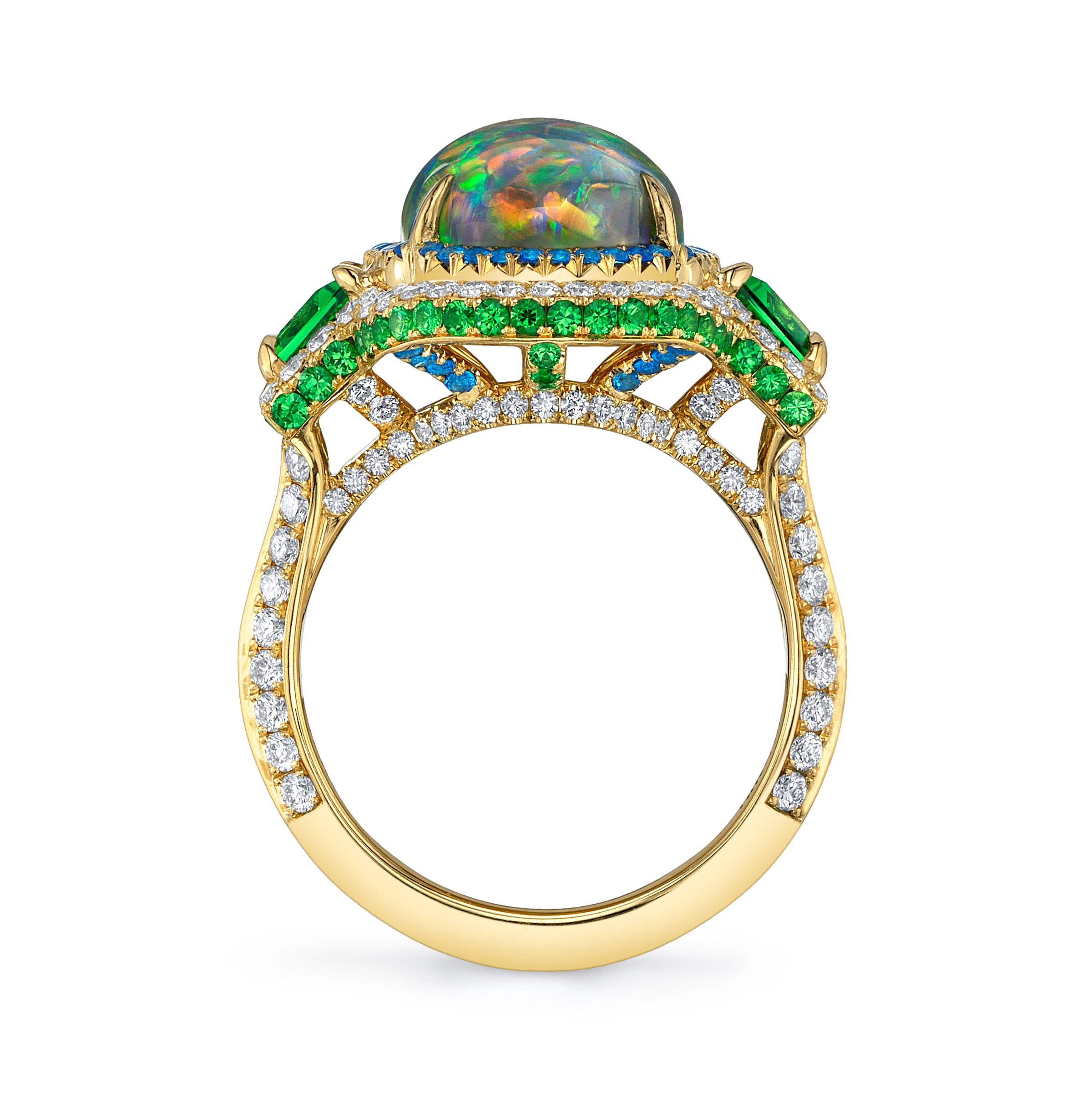 Omi Privé Australian Black Opal, Tsavorite, Hauyne & Diamond Ring in 18K Yellow Gold - Jackson Hole Jewelry Company