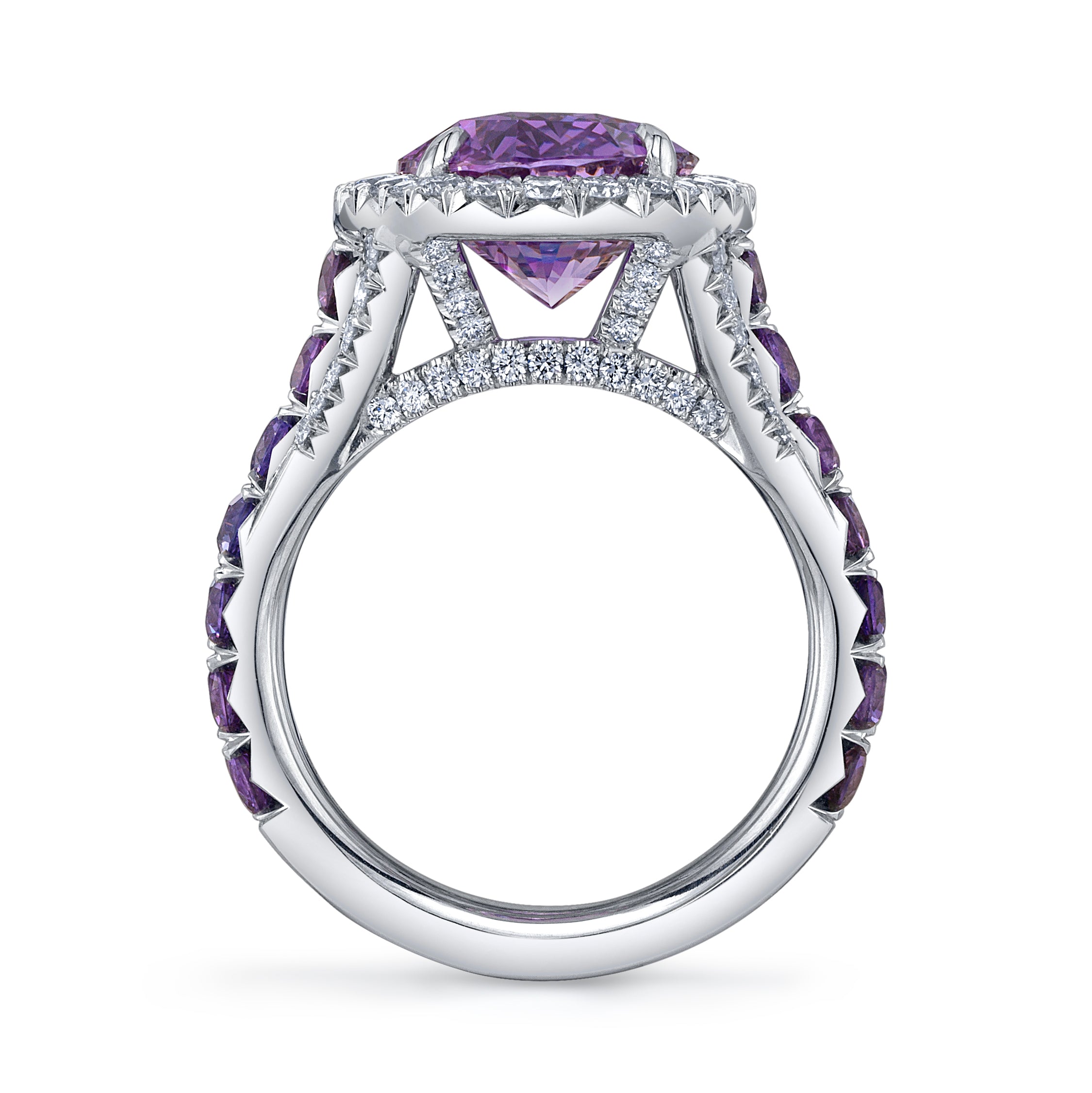 Omi Privé - Fancy Purple Sapphire & Diamond Ring in Platinum - Jackson Hole Jewelry Company