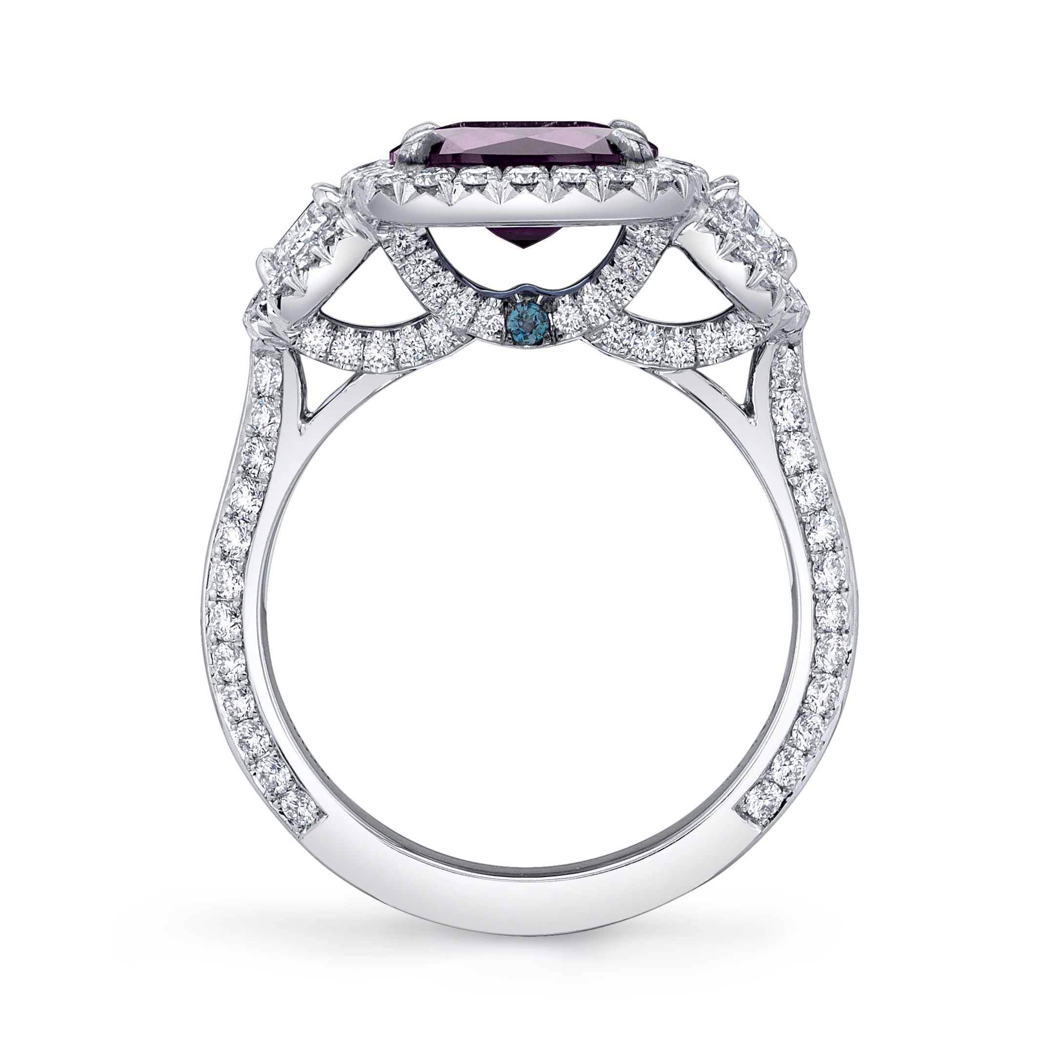 Omi Privé - Alexandrite & Diamond Ring in Platinum - Jackson Hole Jewelry Company