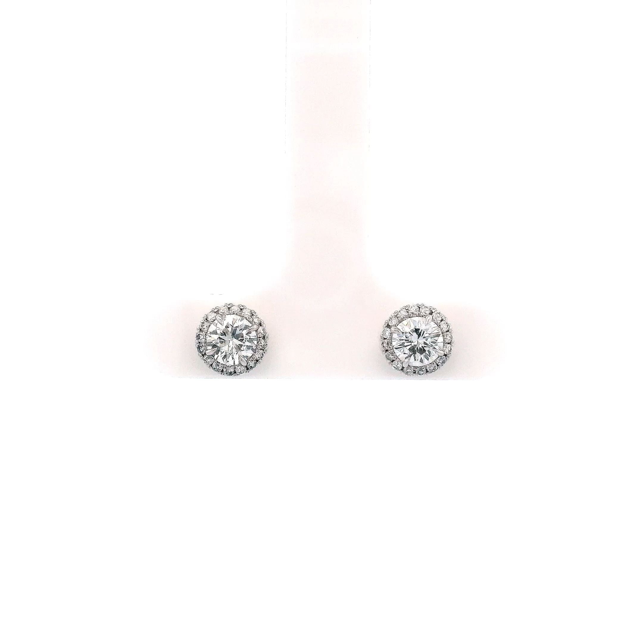 .8X Halo Stud Round Earrings 18KW - Jackson Hole Jewelry Company