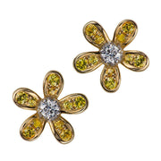 Teton Wildflower Medium Yellow Sapphire Post Earrings - Jackson Hole Jewelry Company
