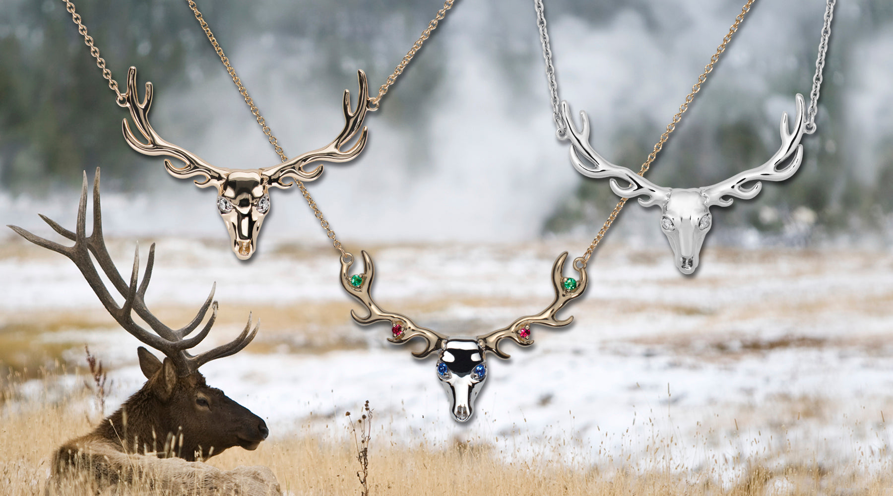 Wildlife Collection