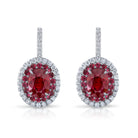 Omi Privé - Ruby & Diamond Earrings in Platinum - Jackson Hole Jewelry Company