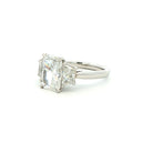 Radiant Cut Diamond Three-Stone Engagement Ring in Platinum - Jackson Hole Jewelry Company