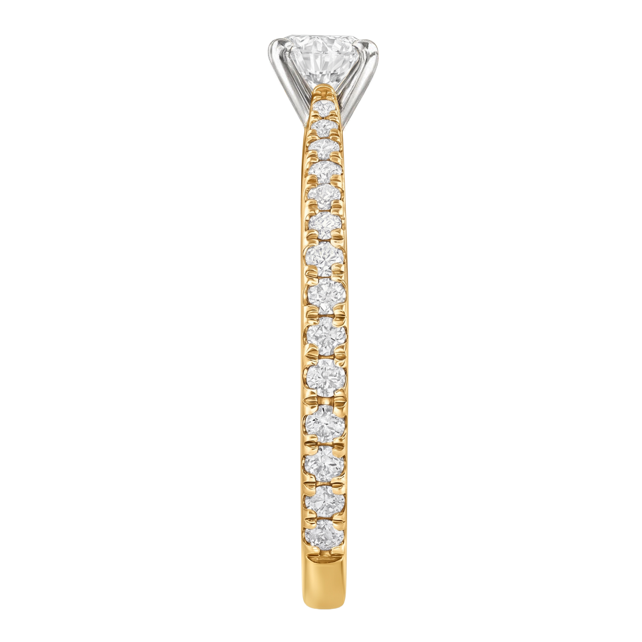 Le PeTeton Round French Cut Diamond Engagement Ring with Pavé Set in 18K Gold - Jackson Hole Jewelry Company