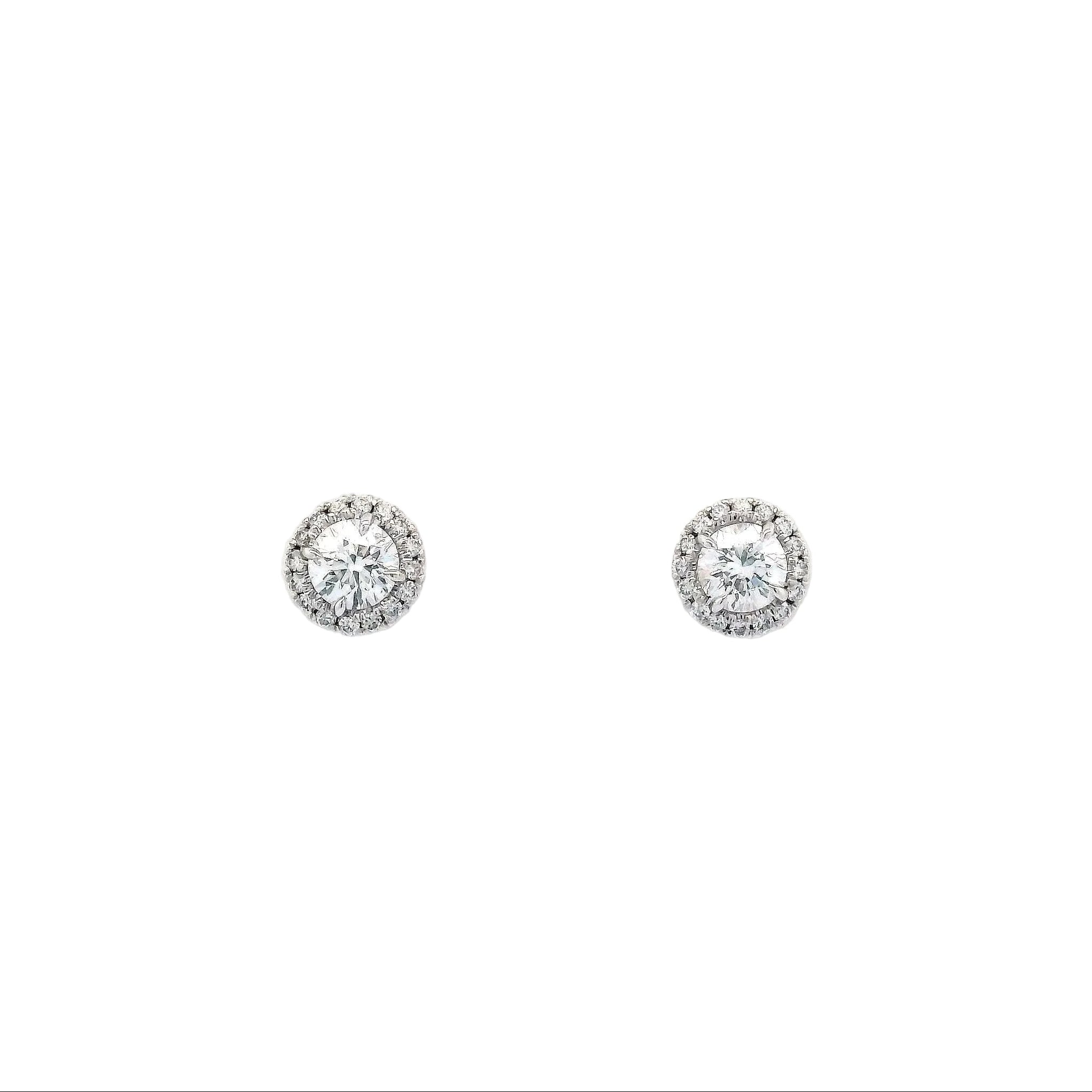 .6Xcttw Halo Stud Round Earrings 18KW - Jackson Hole Jewelry Company