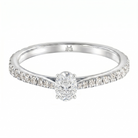 Le PeTeton Oval Cut Diamond Engagement Ring with Pavé Set in 18K Gold - Jackson Hole Jewelry Company