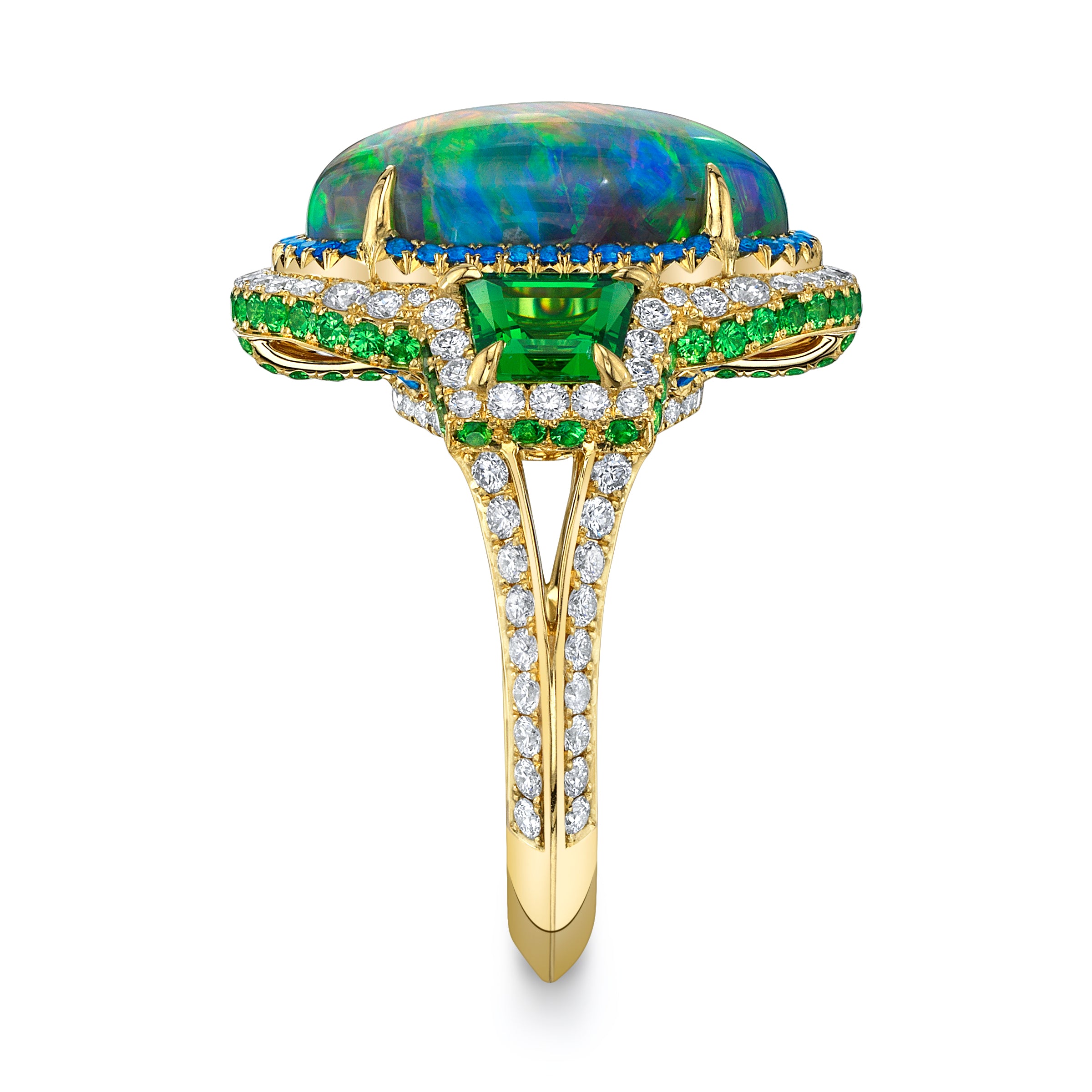 Omi Privé Australian Black Opal, Tsavorite, Hauyne & Diamond Ring in 18K Yellow Gold - Jackson Hole Jewelry Company