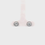 .8X Halo Stud Round Earrings 18KW
